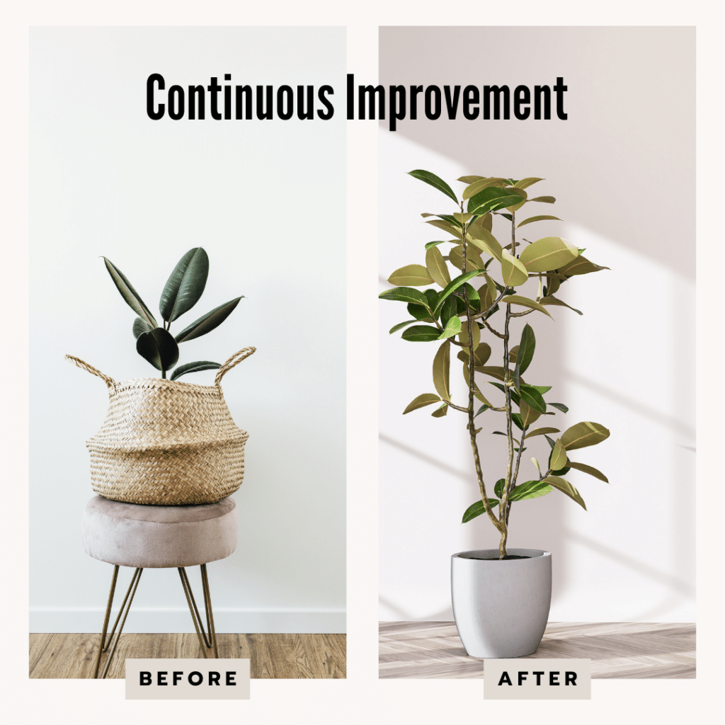 Continuous Improvement